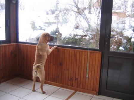 Hein, quoi ?!!!