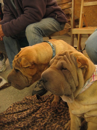 Athos et Ulyssia...