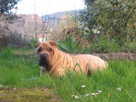 Athys...