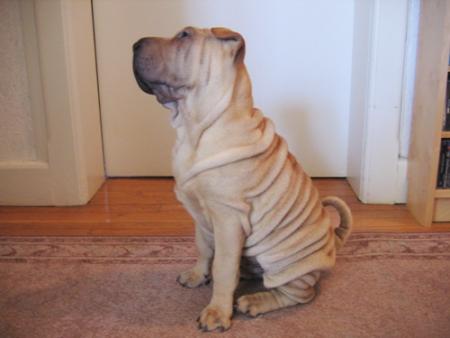 Attentif...