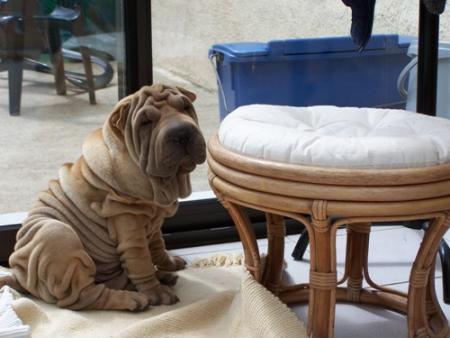 Coucou Athos !