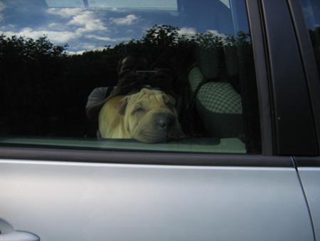 En voiture !