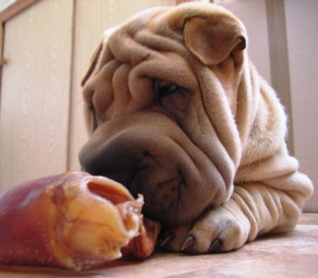 Miam... !