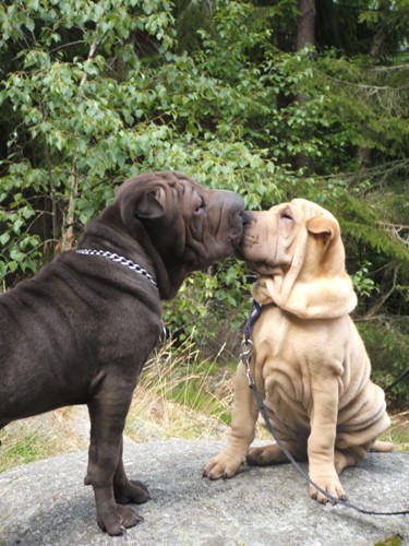 On s'aime !!!