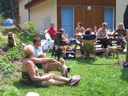 Rencontre de pouilles à l'étang de Hanau (57, Moselle)