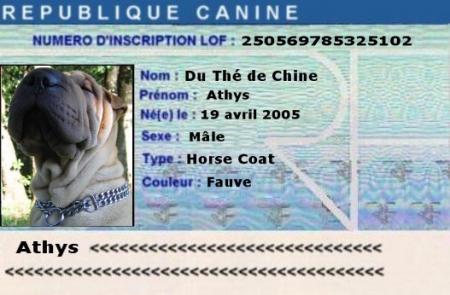 Héhé...