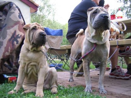 Voici Ugoline en compagnie d'Athys