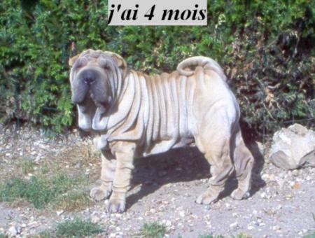 Salut fréro !