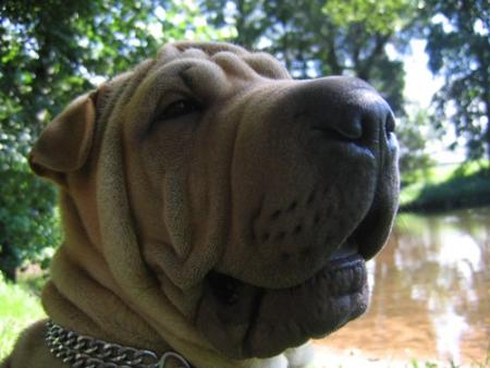 Gueule d'amour...