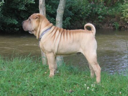 Et au bord d'une rivière...
