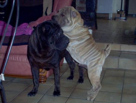 Athos et Perle...