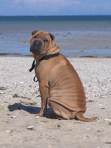 Ben quoi ?