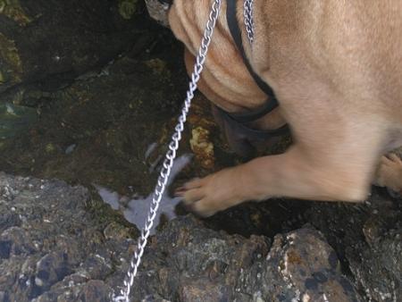 A la pêche...
