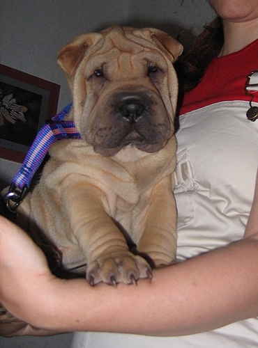 Quelle bonne bouille...