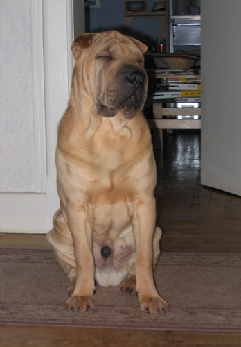 Ahummmmmmmmmmmmm...