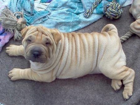 Jolie frimousse !