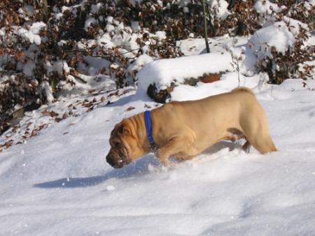 La neige, c'est le bonheur !