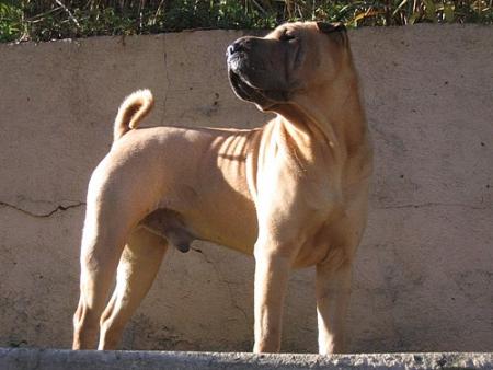 Athys...